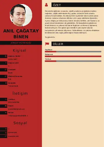 Ziraat Mühendisi Cv Örnekleri cv indir